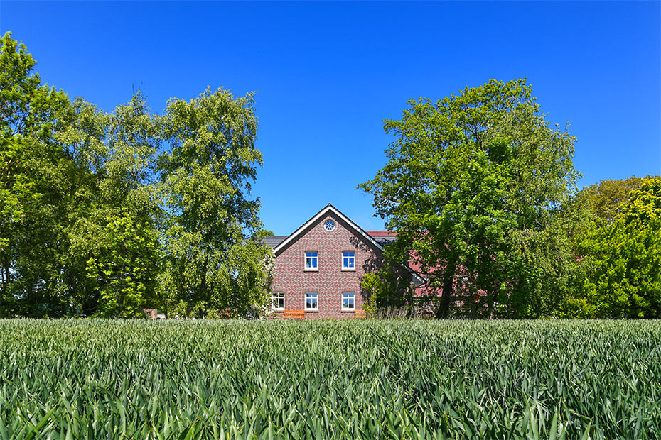 Foto aus der Fotogruppe 